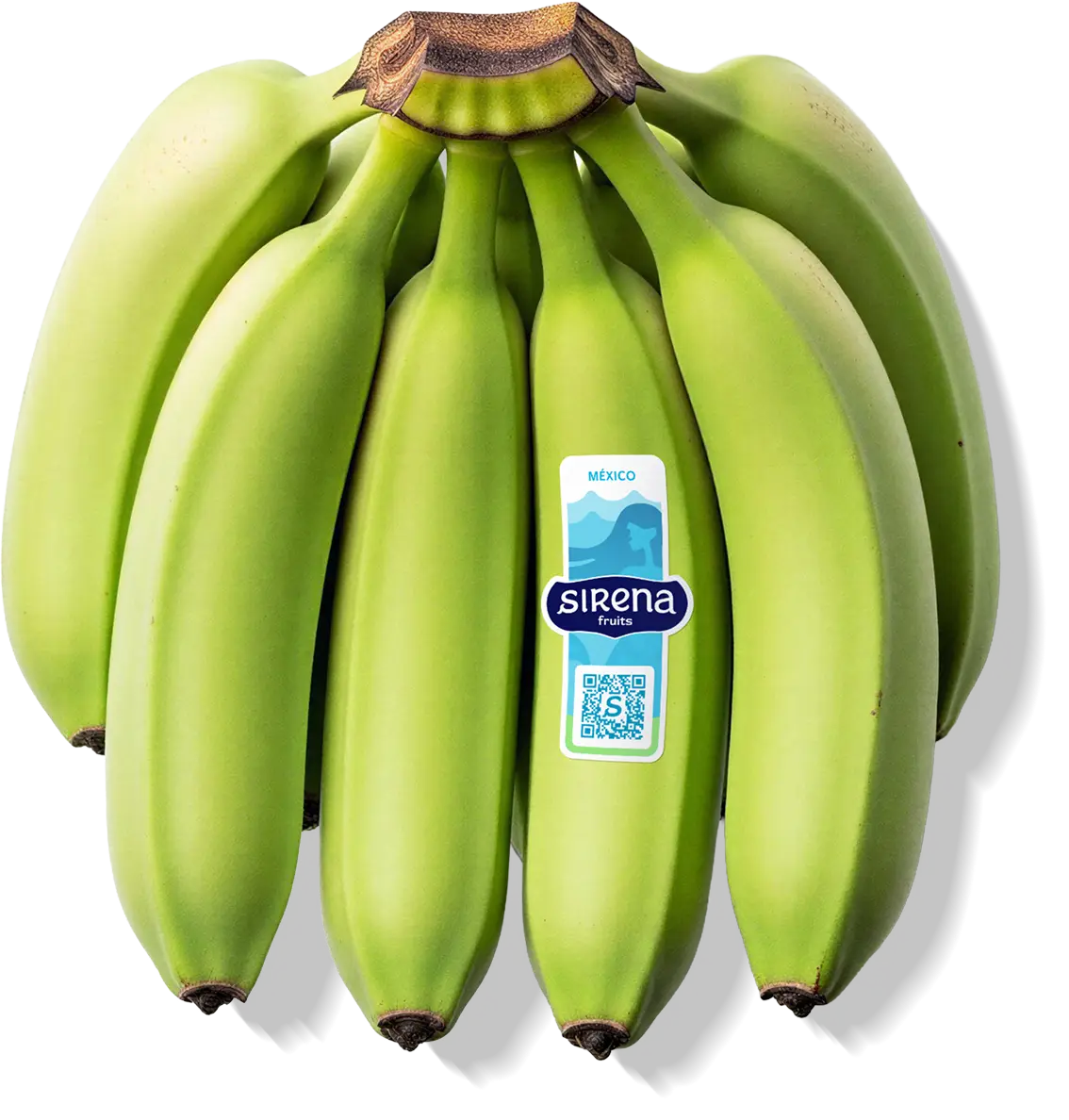 Platanos de Sirena Fruits sin fondo